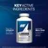 L-Arginine | Bombeo - GAT Sport